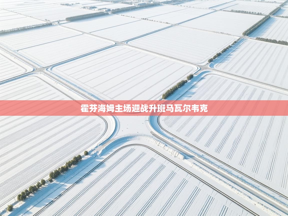 霍芬海姆主场迎战升班马瓦尔韦克 第2张