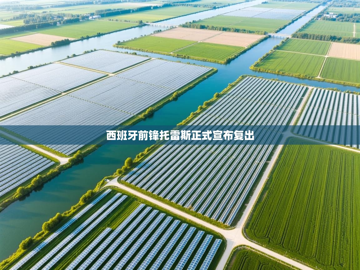 西班牙前锋托雷斯正式宣布复出  第2张